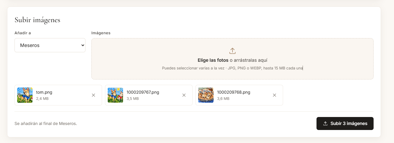 Subida múltiple de imágenes desde el panel